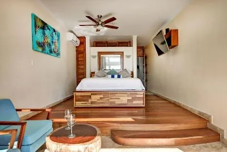 Casa De Playa- Transportation&cooks Included! Villa *